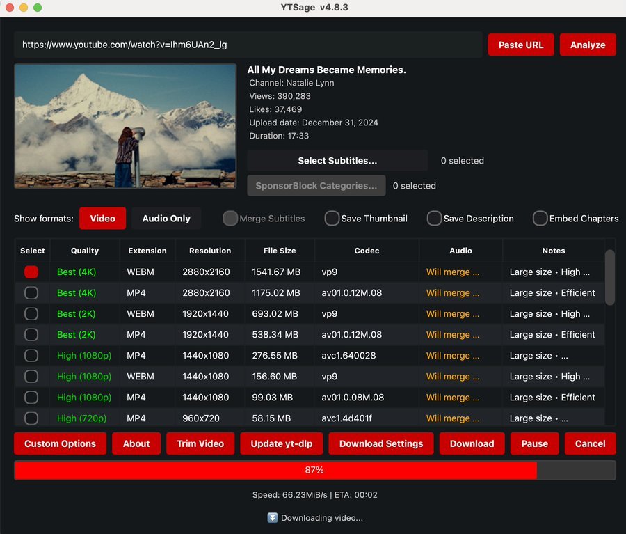 YTSage: A Concise and Efficient YouTube Download Tool